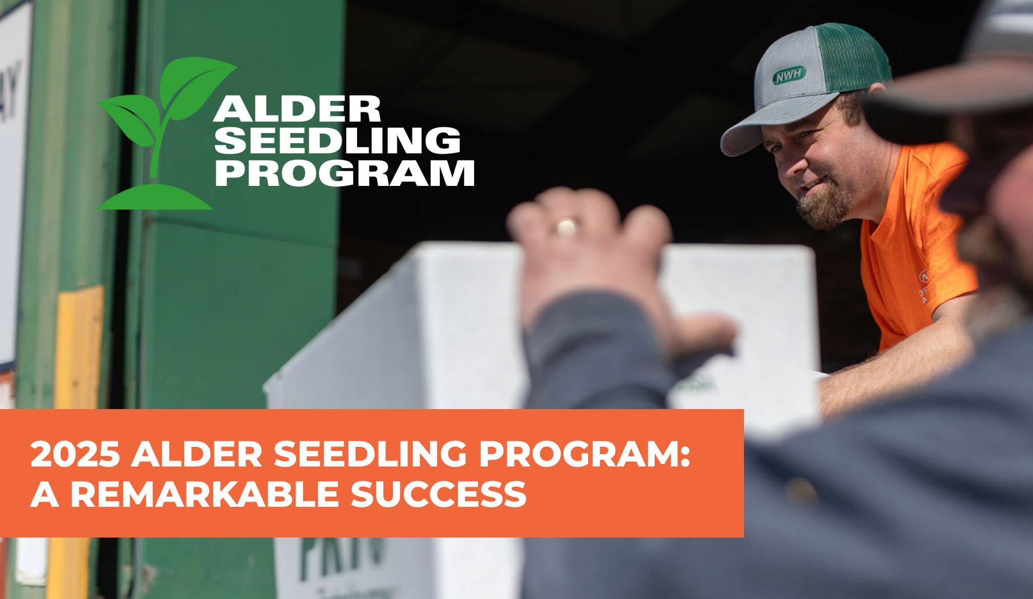 NWH Alder Seedling Program 2025