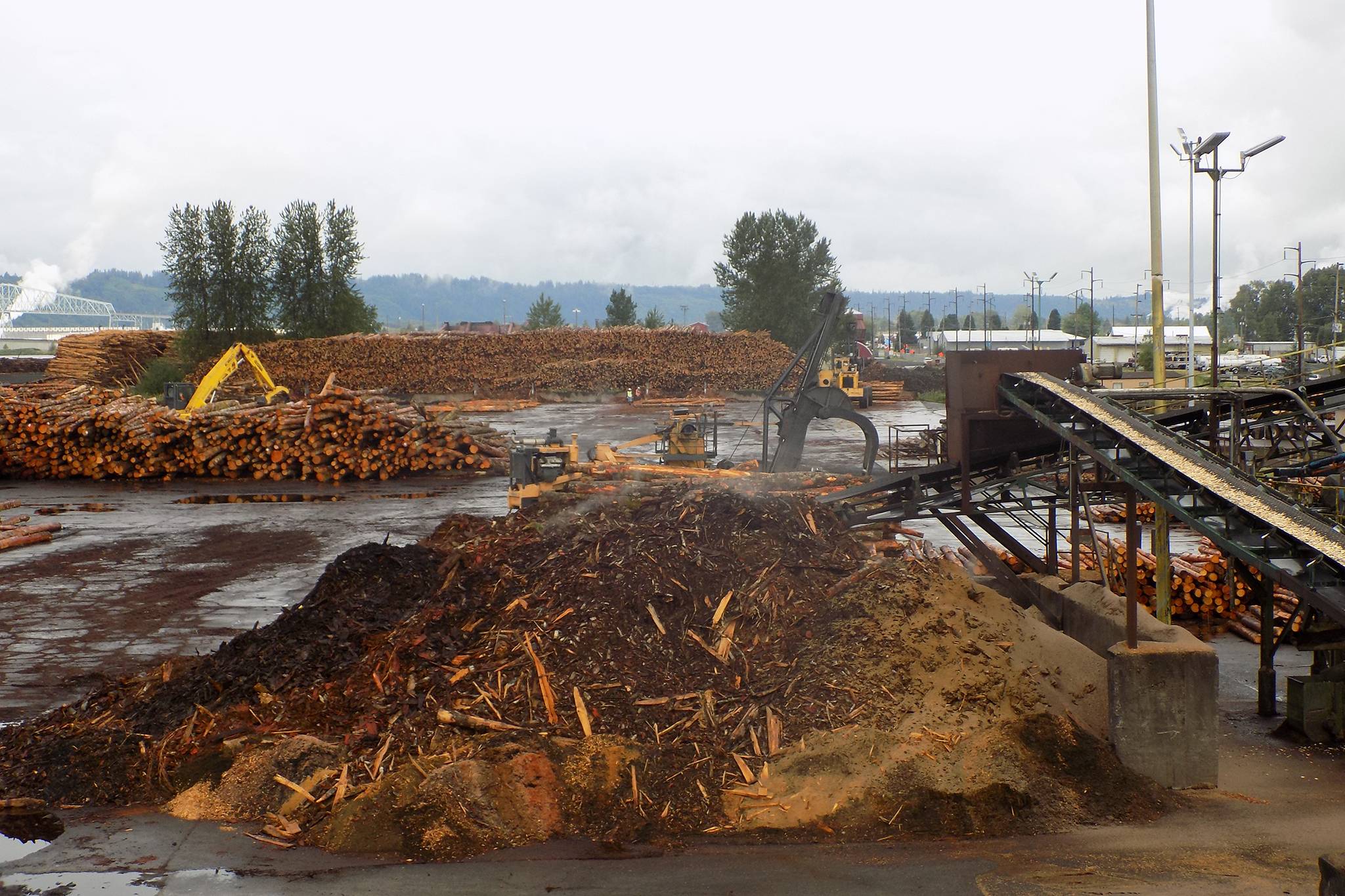 Behind the Boards: Longview, Washington Sawmill Log Yard